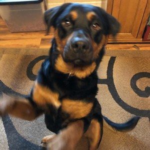 Meet your Posher, Cheryl